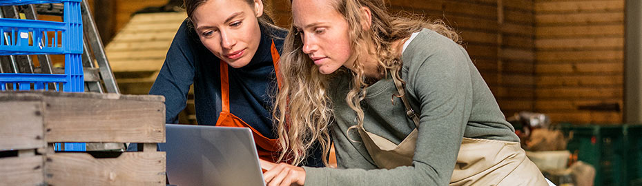 Online Banking Firmenkunden Raiffeisen Volksbank Oder Spree Eg
